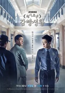 热播电视剧全集排播规律资讯